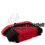 Premiere Brush Dandy ápolókefe 