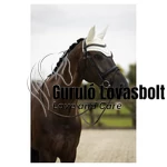 Zamora C-wear fülvédő BR