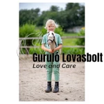 Mini Hobby Horse vesszőparipa BR