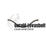 Passion bőr homlokszíj HKM fekete