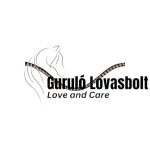 Passion bőr homlokszíj HKM barna