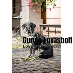 Qooper kutyapóráz HKM 200 cm