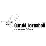Amber lovaglópálca 70 cm ezüst