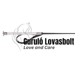 Amber lovaglópálca 70 cm ezüst
