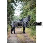 Zebra mintás légytakaró lovagláshoz nyakrésszel HKM