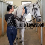 Cavalliera Lovas Top CASUAL CONTESSA - Hosszú ujjú