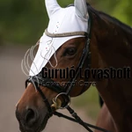 Cavalliera Fülvédő CUSTOM CRYSTALLIZED - Hosszú Verzió