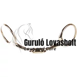 Duplán tört zabla gold 13mm