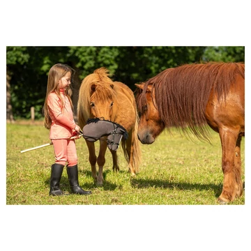 Mini Hobby Horse vesszőparipa BR