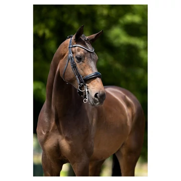 Weymouth Keswick kantár BR fekete Weymouth Keswick kantár BR fekete