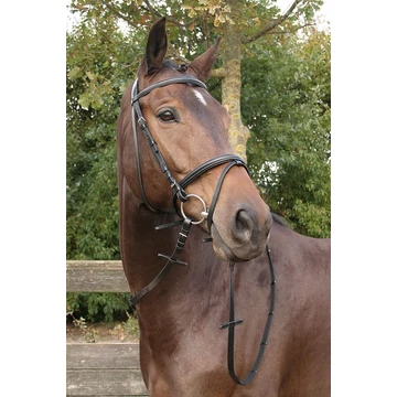 Bőr kantár Harry's Horse fekete
