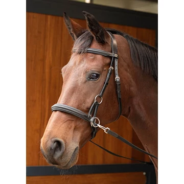 Bőr kantár zabla nélkül Harry's Horse fekete