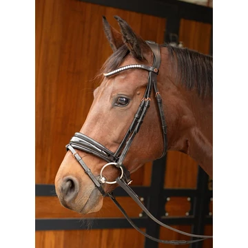 Rosegold lakk kantár Harry's Horse