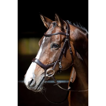 Anatómiai bőr kantár Harry's Horse barna