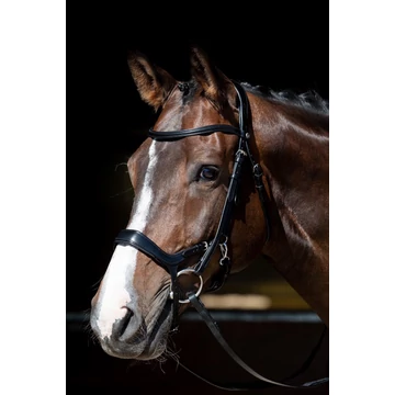 Anatómiai bőr kantár Harry's Horse fekete