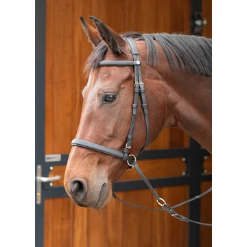 Easy Care kantár Harry's Horse