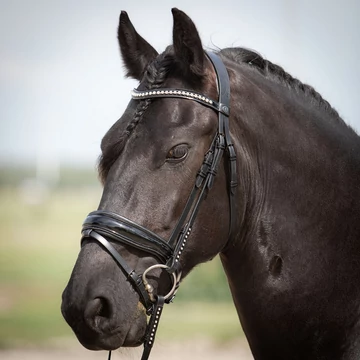Harry's Horse lakk kantár strasszos homlokszíjjal
