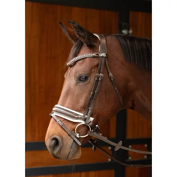 Elegáns bőr kantár Harry's Horse Barna