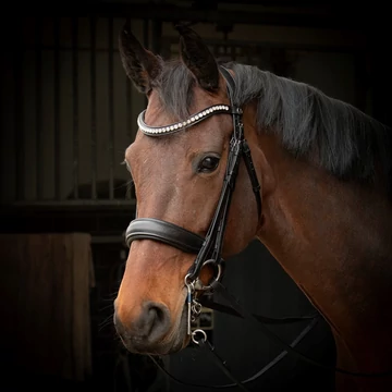 S&T Soft Crystal kantár Harry's Horse