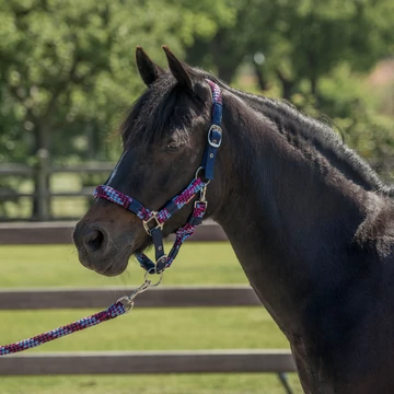 Red Horse kötőfék vezetőszárral szettben