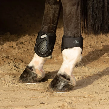 Bokavédő Harry's Horse fekete