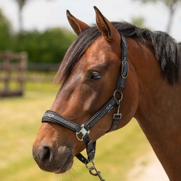 Equestrian Society kötőfék szett fekete