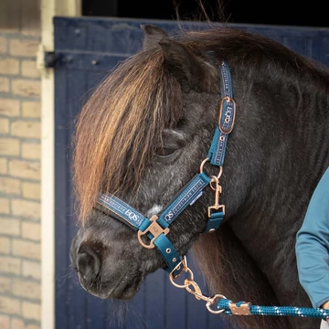 Equestrian Society kötőfék szett türkiz