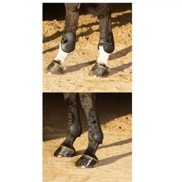 Elite-R bokavédő és ínvédő szettben Harry's Horse