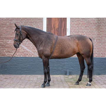 Lekötőszár Harry's Horse több méretben