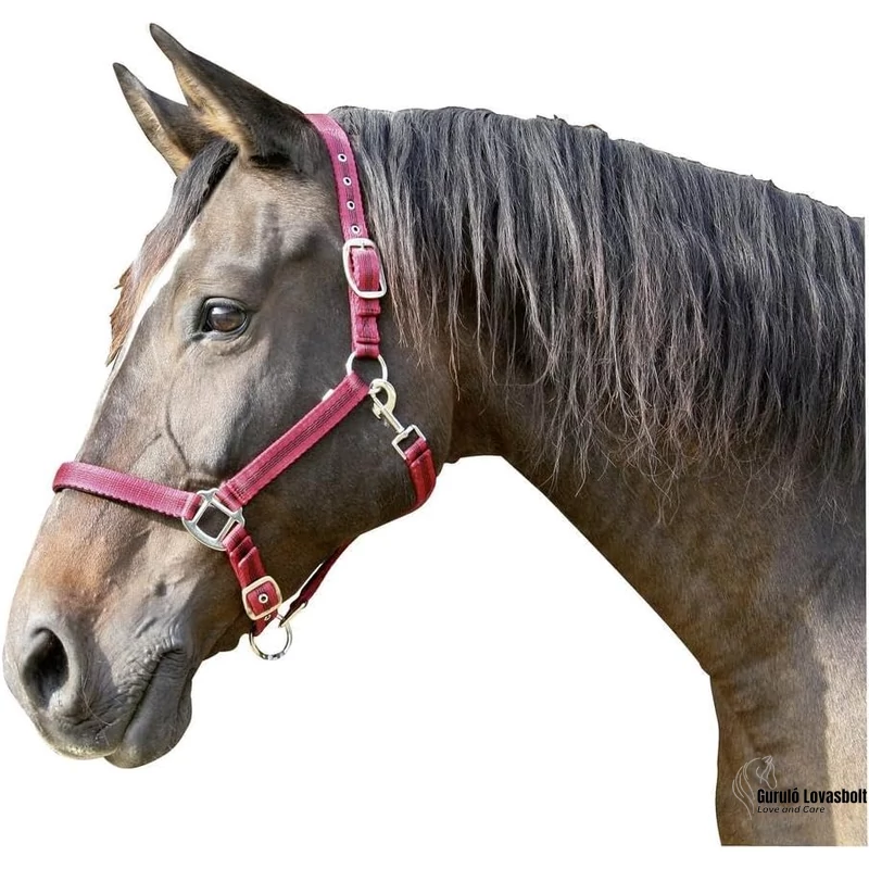 Mustang kötőfék piros póni méret