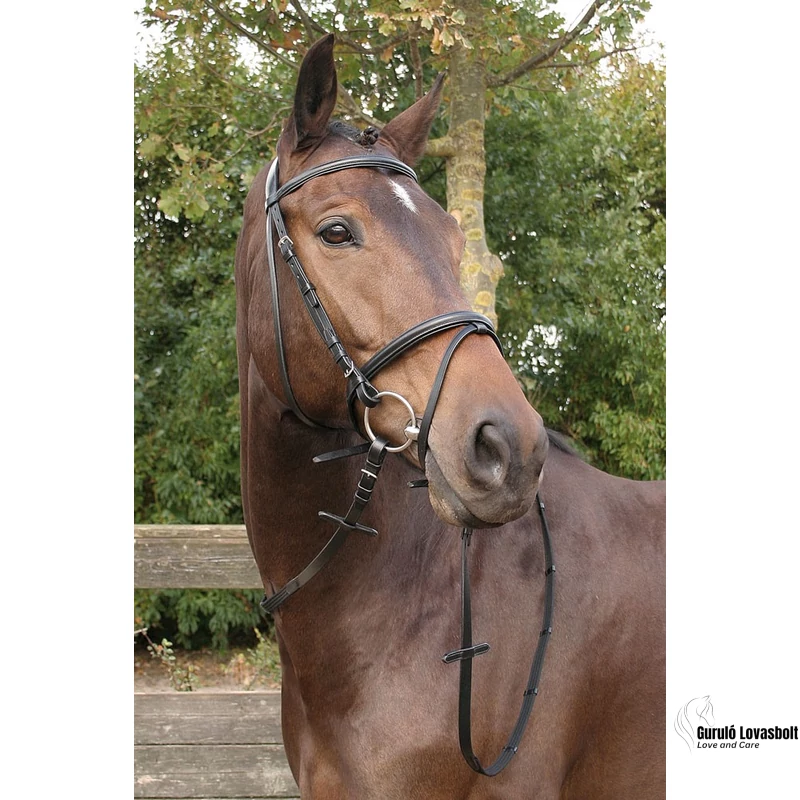 Bőr kantár Harry's Horse fekete