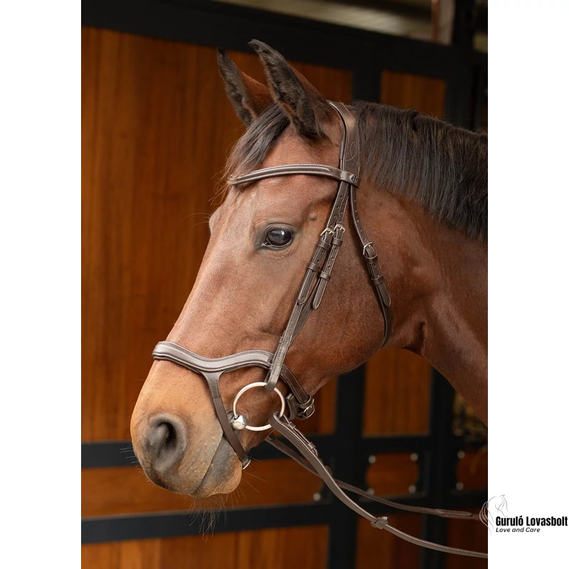 Anatómiai bőr kantár Harry's Horse barna