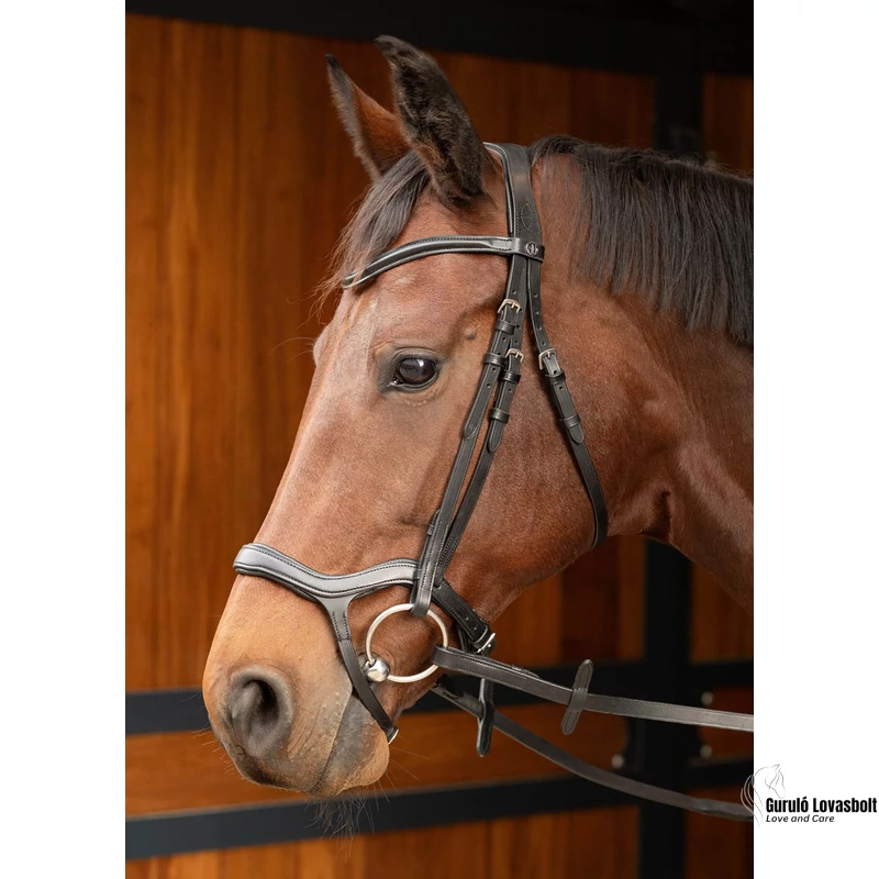 Anatómiai bőr kantár Harry's Horse fekete