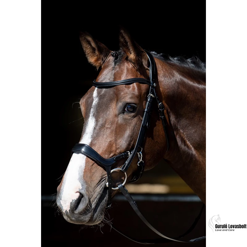 Anatómiai bőr kantár Harry's Horse fekete