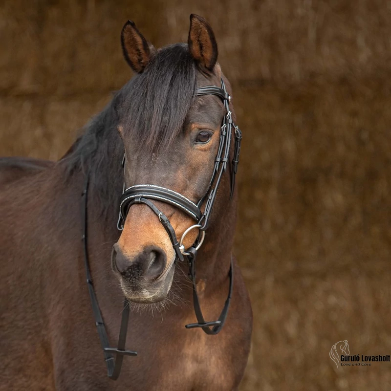 Sparkle kantár Harry's Horse