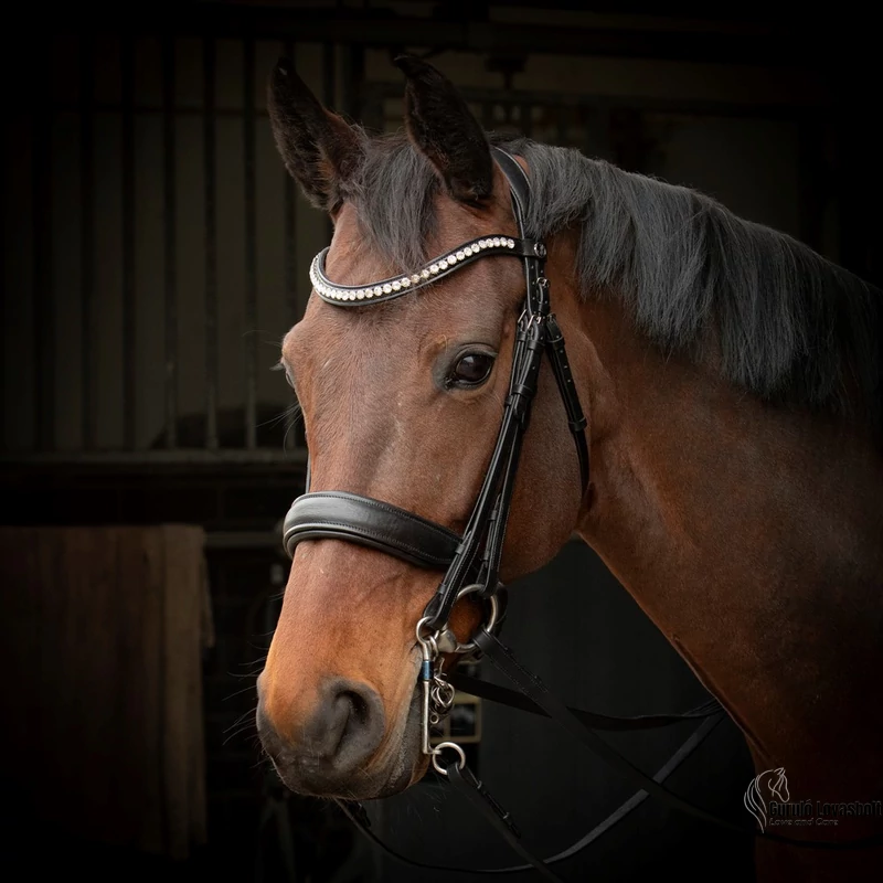 S&T Soft Crystal kantár Harry's Horse