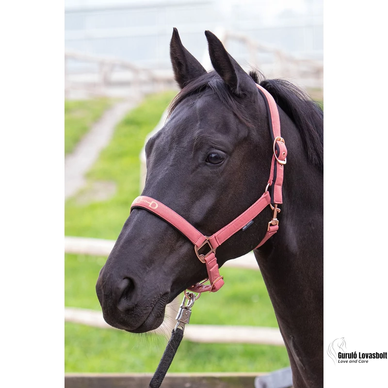 Harry's Horse kötőfék zabla mintával rózsaszín full méret