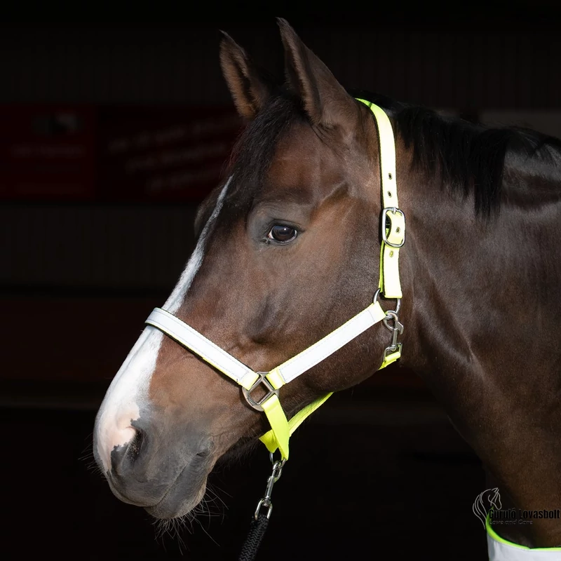Harry's Horse fényvisszaverős kötőfék