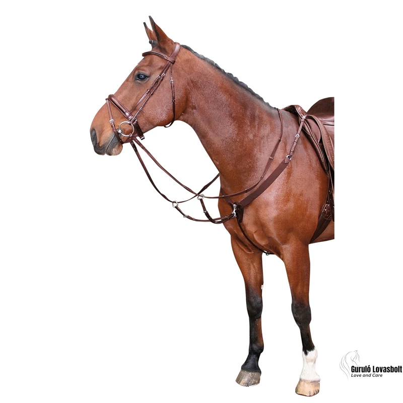 Gumírozott martingál Harry's Horse