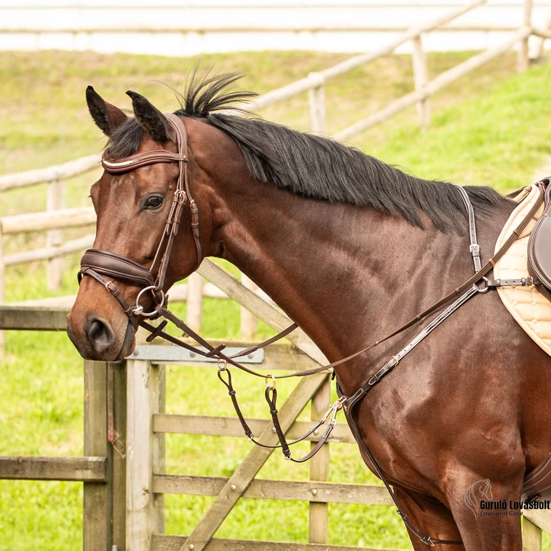 Szügyelő Harry's Horse rosegold