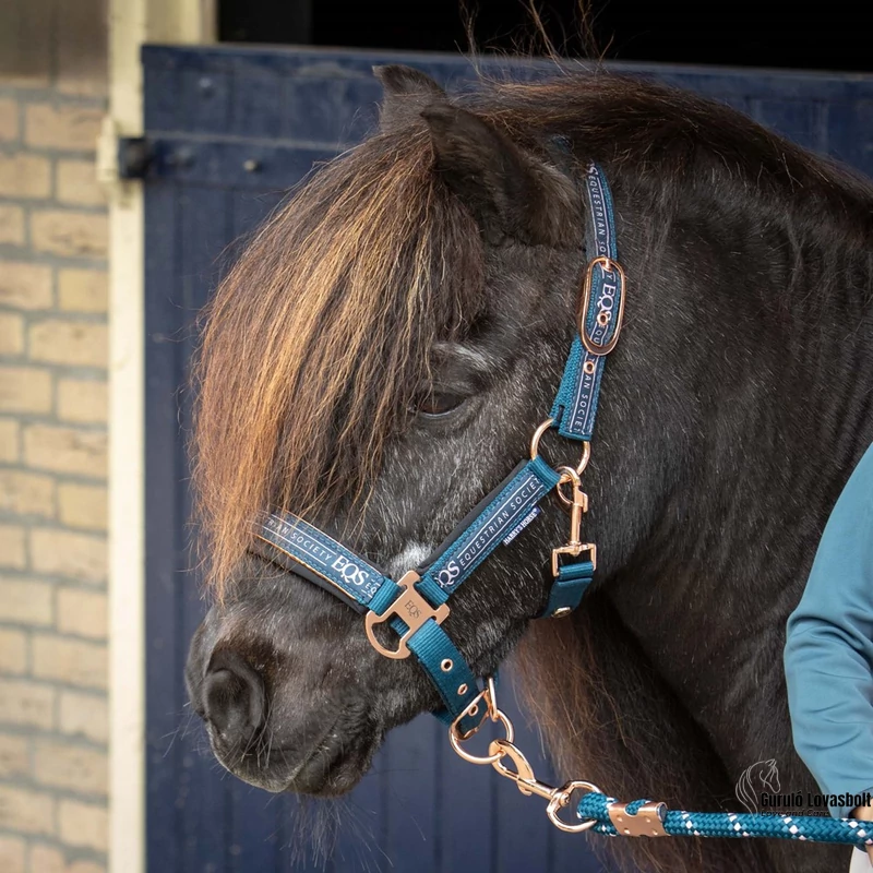 Equestrian Society kötőfék szett türkiz