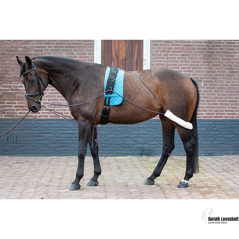 Kiképző hám Harry's Horse full méret