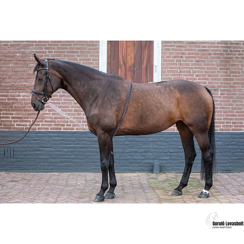 Lekötőszár Harry's Horse több méretben