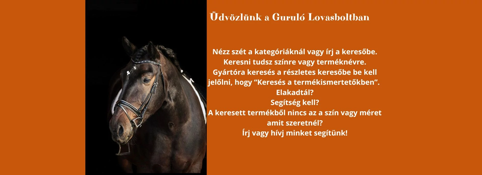 Üdvözlünk